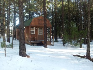 Shady Pines Cabin